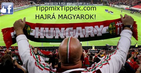 livesportek|Livesport: Foci. Livescore, eredmények, tabellák, statisztikák.
